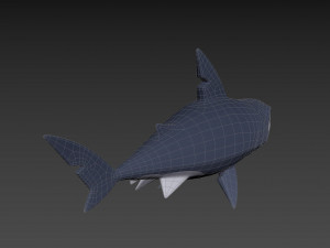 Character073 Shark 3D मॉडल