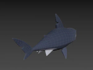 Character073 Shark 3D Model