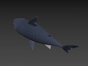 Character073 Shark 3D Model
