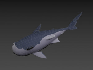 Character073 Shark 3D मॉडल