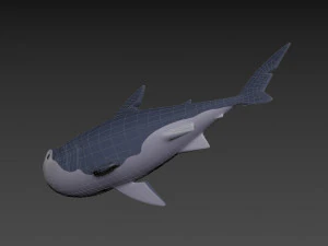 Character073 Shark 3D Model
