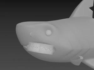 Character073 Shark 3D Model