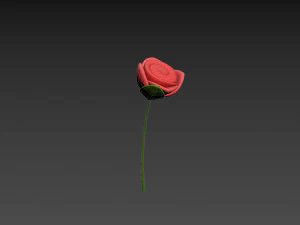 Prop007 Cartoon Rose 3D Model