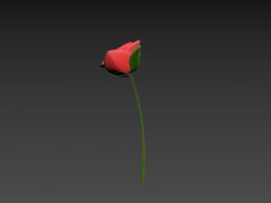 Prop007 Cartoon Rose 3D Model