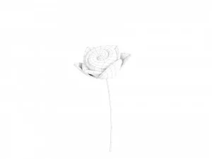 Prop007 Cartoon Rose 3D Model