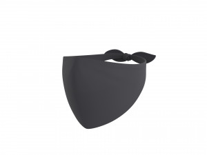 Prop022 Bandana Mask 3D 모델