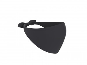 Prop022 Bandana Mask 3D 모델