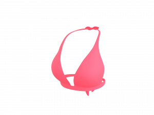 Prop026 Bikini Bra 3D Model