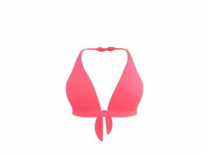 Prop026 Bikini Bra Model 3D