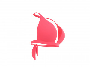 Prop026 Bikini Bra Model 3D