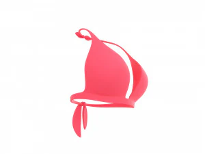 Prop026 Bikini Bra 3D Model