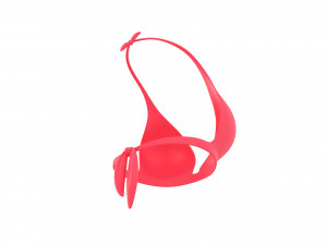 Prop026 Bikini Bra Model 3D
