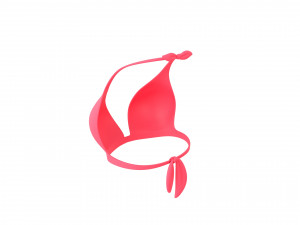 Prop026 Bikini Bra Model 3D