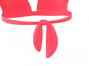 Prop026 Bikini Bra Model 3D