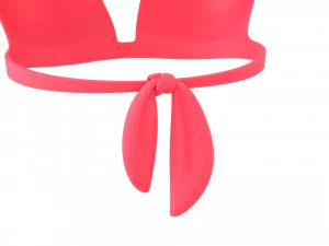Prop026 Bikini Bra 3D Model