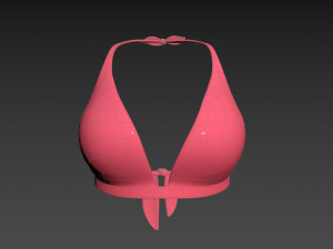 Prop026 Bikini Bra Model 3D