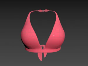 Prop026 Bikini Bra 3D Model