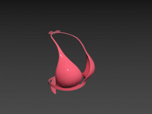 Prop026 Bikini Bra Model 3D