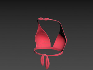 Prop026 Bikini Bra Model 3D