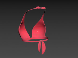 Prop026 Bikini Bra Model 3D