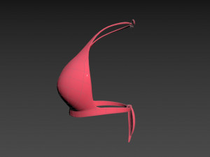 Prop026 Bikini Bra Model 3D