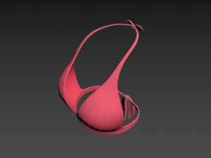 Prop026 Bikini Bra Model 3D