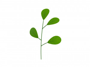 Prop027 Plant Modelo 3D