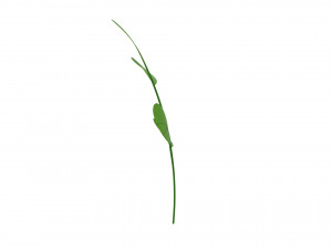 Prop027 Plant 3D 模型