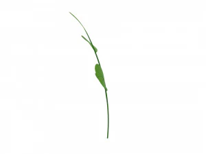 Prop027 Plant 3D Model