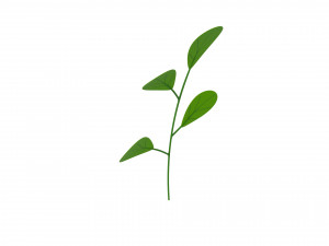 Prop027 Plant 3D 模型