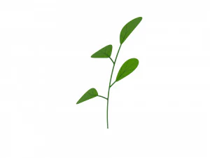 Prop027 Plant 3D Model