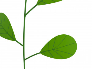 Prop027 Plant 3D 模型