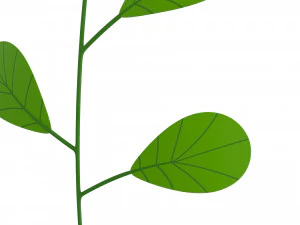 Prop027 Plant 3D Model