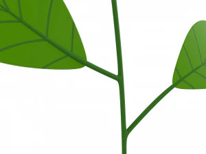 Prop027 Plant 3D Model