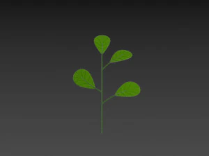 Prop027 Plant 3D Model