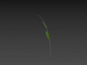 Prop027 Plant 3D 模型