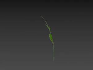 Prop027 Plant 3D Model