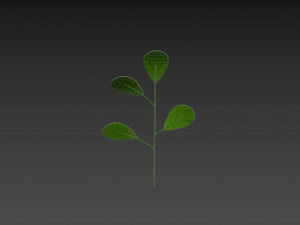 Prop027 Plant 3D 模型