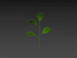 Prop027 Plant 3D Model