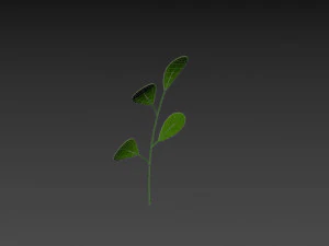 Prop027 Plant 3D Model