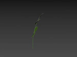Prop027 Plant 3D Model
