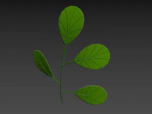 Prop027 Plant 3D Model