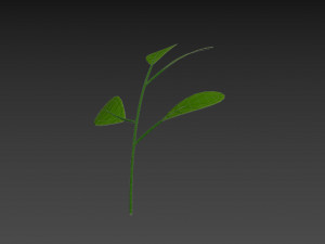 Prop027 Plant 3D 模型