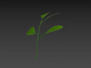 Prop027 Plant 3D Model