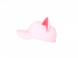 Prop032 Cat Cap 3D Model