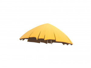 Prop033 Bamboo Hat Model 3D