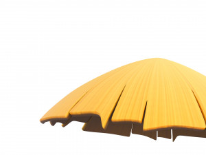 Prop033 Bamboo Hat 3D Model