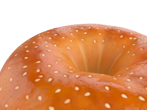 Prop101 Bagel 3D 模型