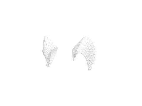 Prop110 Cat Ear 3D Model