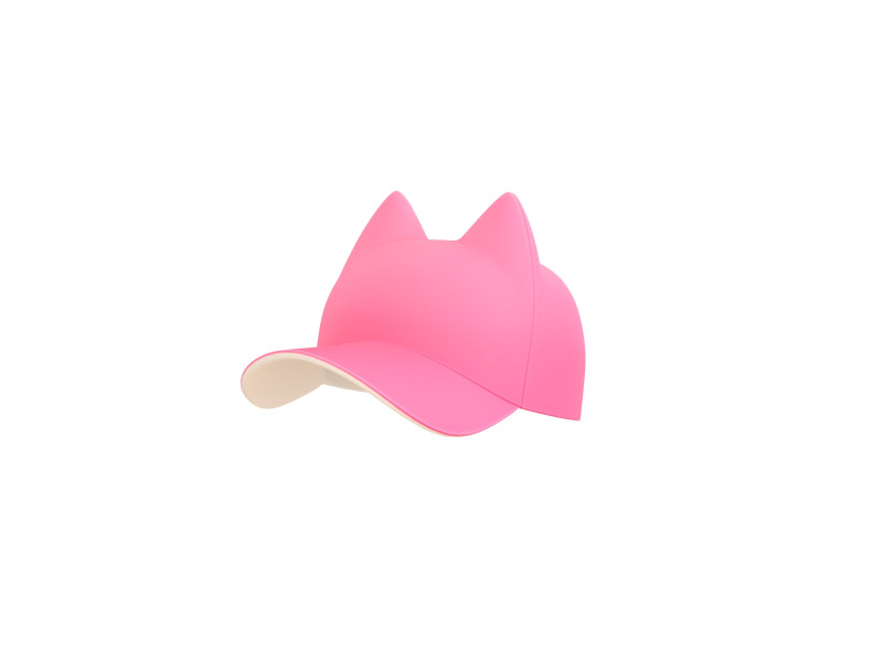 Prop121 Cat Cap 3D मॉडल .c4d .max .obj .3ds .fbx .stl .blend 